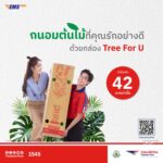 ไปรษณีย์ไทย ชวนเพิ่มออกซิเจน – โอโซนให้โลก ชี้เป้าต้นไม้ปลูกแล้วดี 5 สายพันธุ์