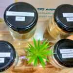 “พลาสติกจากแป้งมัน” ปรับโฉมบรรจุภัณฑ์ให้เป็นมิตรต่อสิ่งแวดล้อม ต้นทุนต่ำ พร้อมดันสู่ตลาดโลก