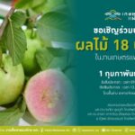 มก. เชิญชวนส่งผลไม้ 18 ประเภท เข้าร่วมประกวดในงานเกษตรแฟร์ ปี 2568