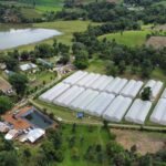 ปลดล็อกความยากจน บ้านหนองเขียว จ.แม่ฮ่องสอน เดินหน้าสู่เกษตรอินทรีย์เพื่อชีวิตที่ดีกว่า