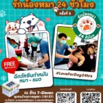 เซเว่น อีเลฟเว่น เดินหน้าโครงการ “รักน้องหมา 24 ชั่วโมง” สัญจรสู่อยุธยา ทำหมัน–ฉีดวัคซีนฟรีให้น้องหมา น้องแมว ช่วยสร้างชุมชนอุ่นใจ