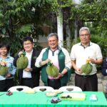 ผู้บริหารมก.ปลื้ม ทุเรียนในแปลงเกษตรบางเขนให้ผลผลิตเป็นปีที่2 ทั้งมากกว่าปีแรก