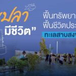 “บ้านปลามีชีวิต” ฟื้นทรัพยากรสัตว์น้ำ ฟื้นชีวิตประมงพื้นบ้าน ทะเลสาบสงขลาหน่วยบริหารและจัดการทุนด้านการพัฒนาระดับพื้นที่ (บพท.)
