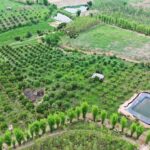 สวพส. จัดการน้ำบนพื้นที่สูงเปลี่ยนชีวิตชุมชน…สู่ความมั่นคงทางอาหารอย่างยั่งยืน