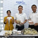 ไบโอเทค สวทช. พัฒนา “เห็ดแครงสายพันธุ์ใหม่” คุณภาพสูง พร้อมปูทางสู่เกษตรกร และชี้ทางต่อยอดเป็นแหล่งโปรตีนทางเลือก