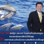 ข่าวดี! สหรัฐฯ ประกาศ ไทยผ่านเกณฑ์มาตรฐาน MMPA สามารถส่งออกสัตว์น้ำได้ฉลุยตอกย้ำ! ภาคการประมงไทยไม่กระทบต่อสัตว์ทะเลเลี้ยงลูกด้วยนม