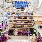กรมการค้าภายใน ปั้น Farm Outlet หนุนเกษตรกรไทยกว่า 15 ปี ยอดขายงานแฟร์ทะลุ 4 ล้าน เดินหน้าต่อที่เซ็นทรัลปิ่นเกล้า
