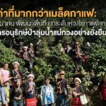 คุณค่าที่มากกว่าเมล็ดกาแฟ: พัฒนาคน พัฒนาพื้นที่ ยกระดับห่วงโซ่กาแฟคุณภาพ สู่การอนุรักษ์ป่าลุ่มน้ำแม่กวงอย่างยั่งยืนหน่วยบริหารและจัดการทุนด้านการพัฒนาระดับพื้นที่ (บพท.)