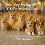 “ไปรษณีย์ไทย x สัตวแพทย์ จุฬาฯ” เนรมิต “ไปรษณีย์กลาง บางรัก” เปิดพื้นที่ต้อนรับเพื่อนสี่ขาเป็นครั้งแรก! สร้างแลนด์มาร์กแห่งมิตรภาพคน–สัตว์–คอกาแฟในงาน “คู่หู คู่ซี้ เดอะคาเฟ่” เติมความสุขทั้งอาร์ต สุขภาพ และเวิร์กช็อปสุดอบอุ่น