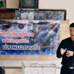 ประมงนครศรีธรรมราช ขยายผลการใช้เพื่อคุมปลาหมอคางดำ หนุนเกษตรกรเลี้ยง “ปูขาวอินทรีย์” ลดต้นทุน–สร้างรายได้มั่นคง