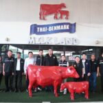 “รมช.วัชระพล” เร่งเคลียร์หนี้ อ.ส.ค. ดันงบกองทุนฯ 600 ล้าน ช่วยเกษตรกรโคนม