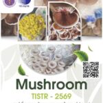 วว. เชิญชวนดาวน์โหลด ฟรี !! E-book แคตตาล็อก “เห็ดเศรษฐกิจและนวัตกรรมการเพาะเลี้ยง” หนุนเกษตรกรยุคใหม่