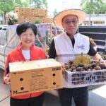 ไปรษณีย์ไทย – กรมการค้าภายในผนึกกำลังเดินหน้าช่วยเกษตรกรสนับสนุนบรรจุภัณฑ์ผลไม้ (กล่อง DIT) ฟรี! ค่าส่งทั่วประเทศผลักดันผลไม้คุณภาพส่งถึงมือผู้บริโภค