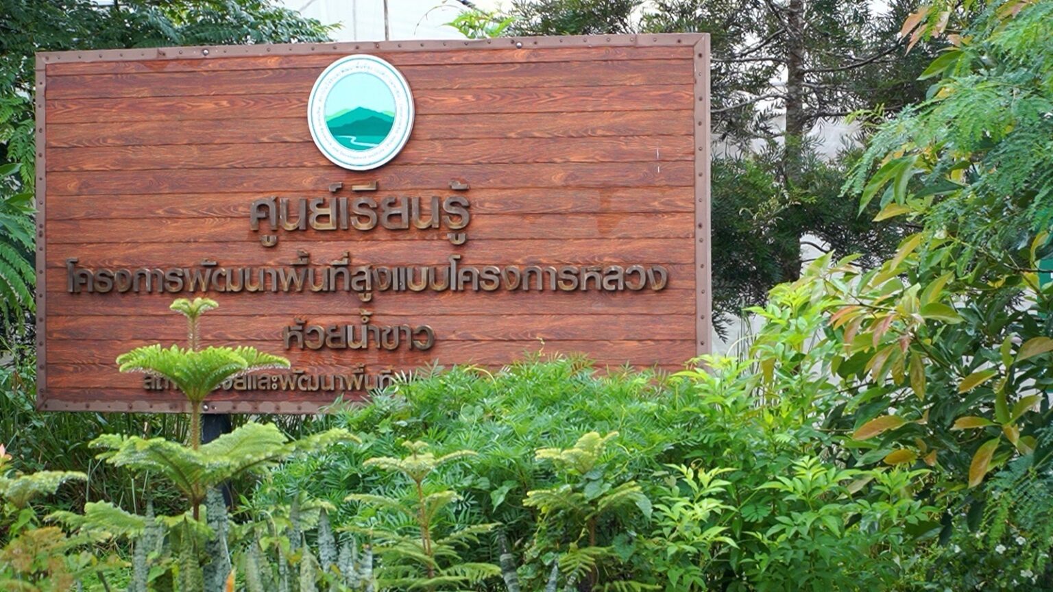 จากเกษตรแบบเดิม สู่ “Smart Farm” ห้วยน้ำขาว ยกระดับการผลิต สร้างรายได้ พัฒนาชุมชนบนพื้นที่สูงอย่างยั่งยืน